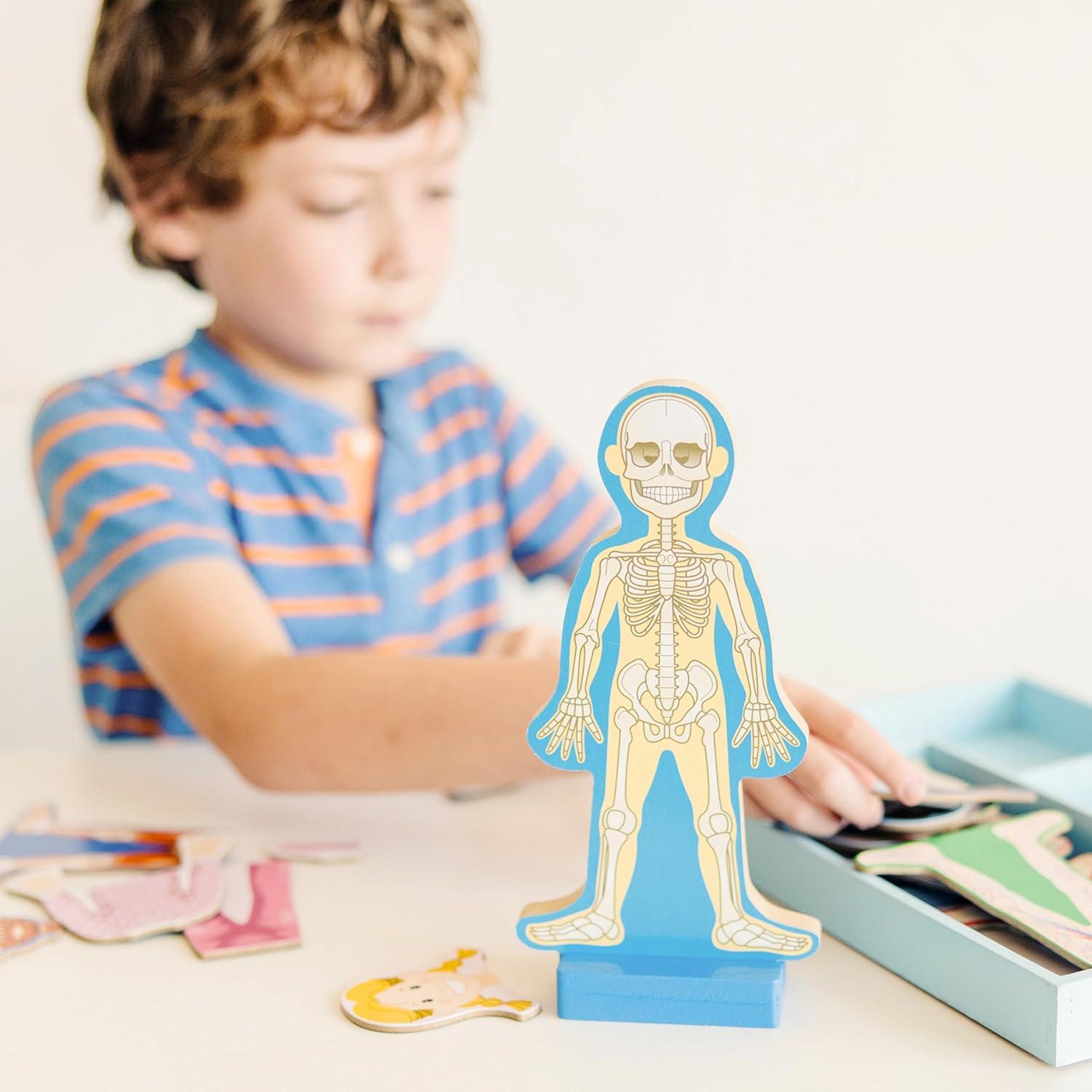 imageMelissa ampamp Doug Magnetic Human Body Anatomy Play Set with 24 Magnetic Pieces and Storage Tray
