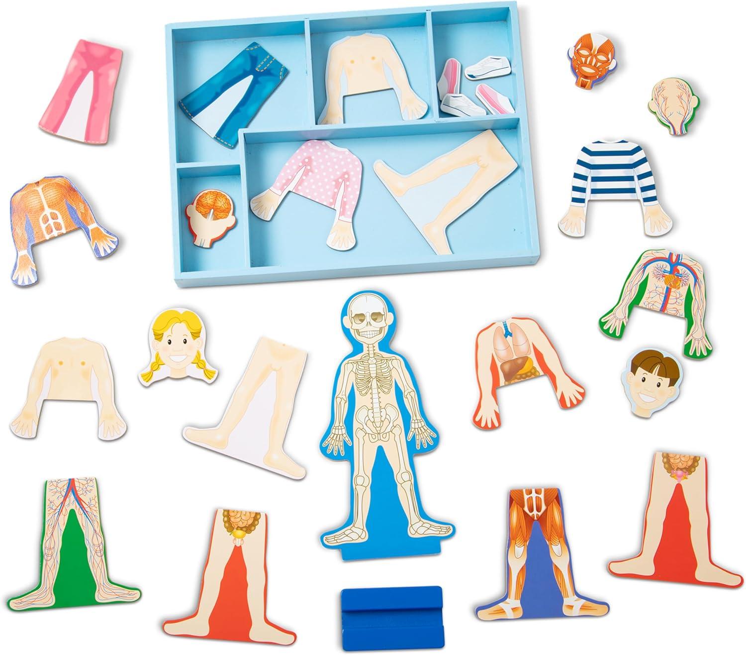imageMelissa ampamp Doug Magnetic Human Body Anatomy Play Set with 24 Magnetic Pieces and Storage Tray