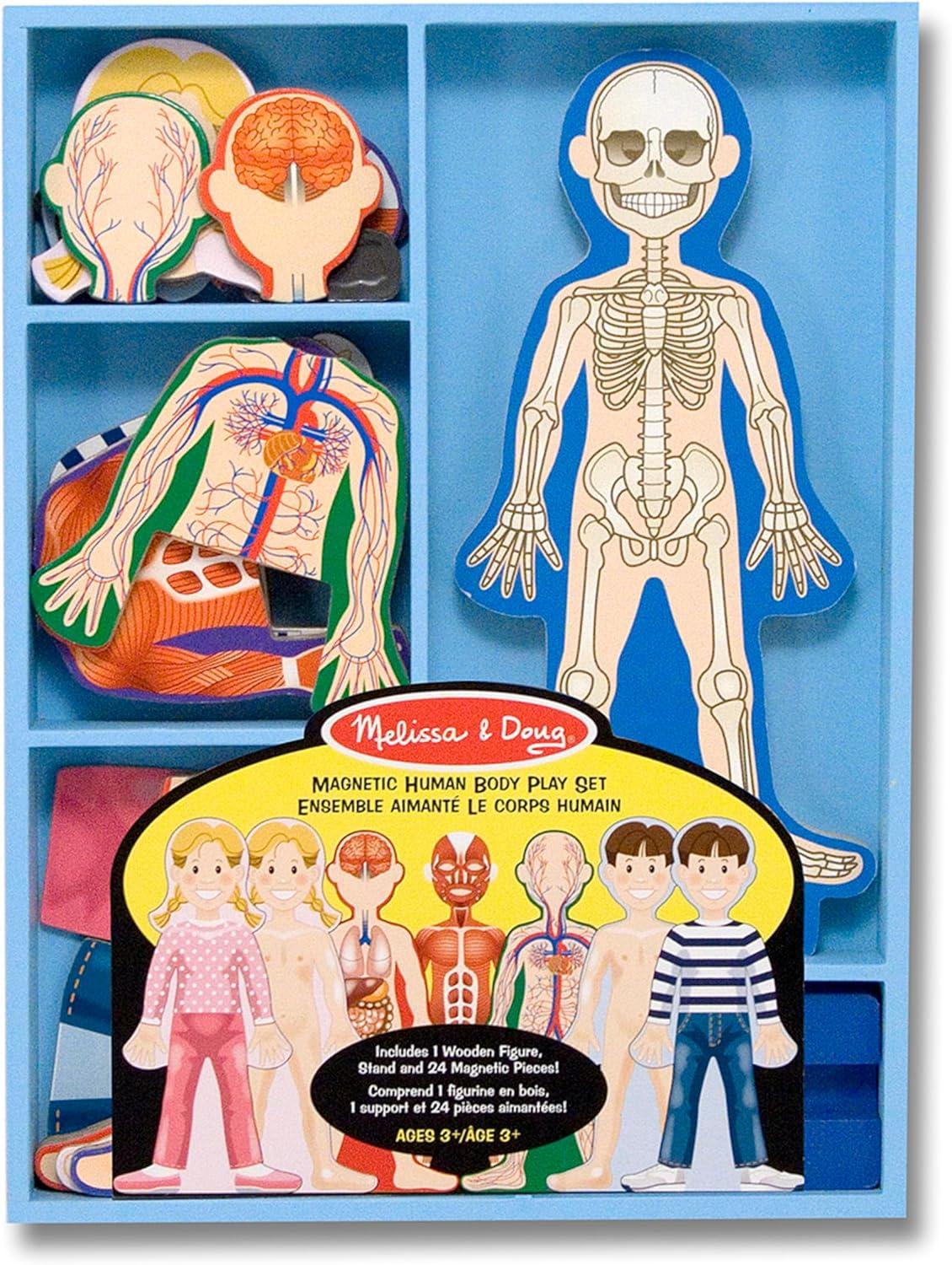 imageMelissa ampamp Doug Magnetic Human Body Anatomy Play Set with 24 Magnetic Pieces and Storage Tray