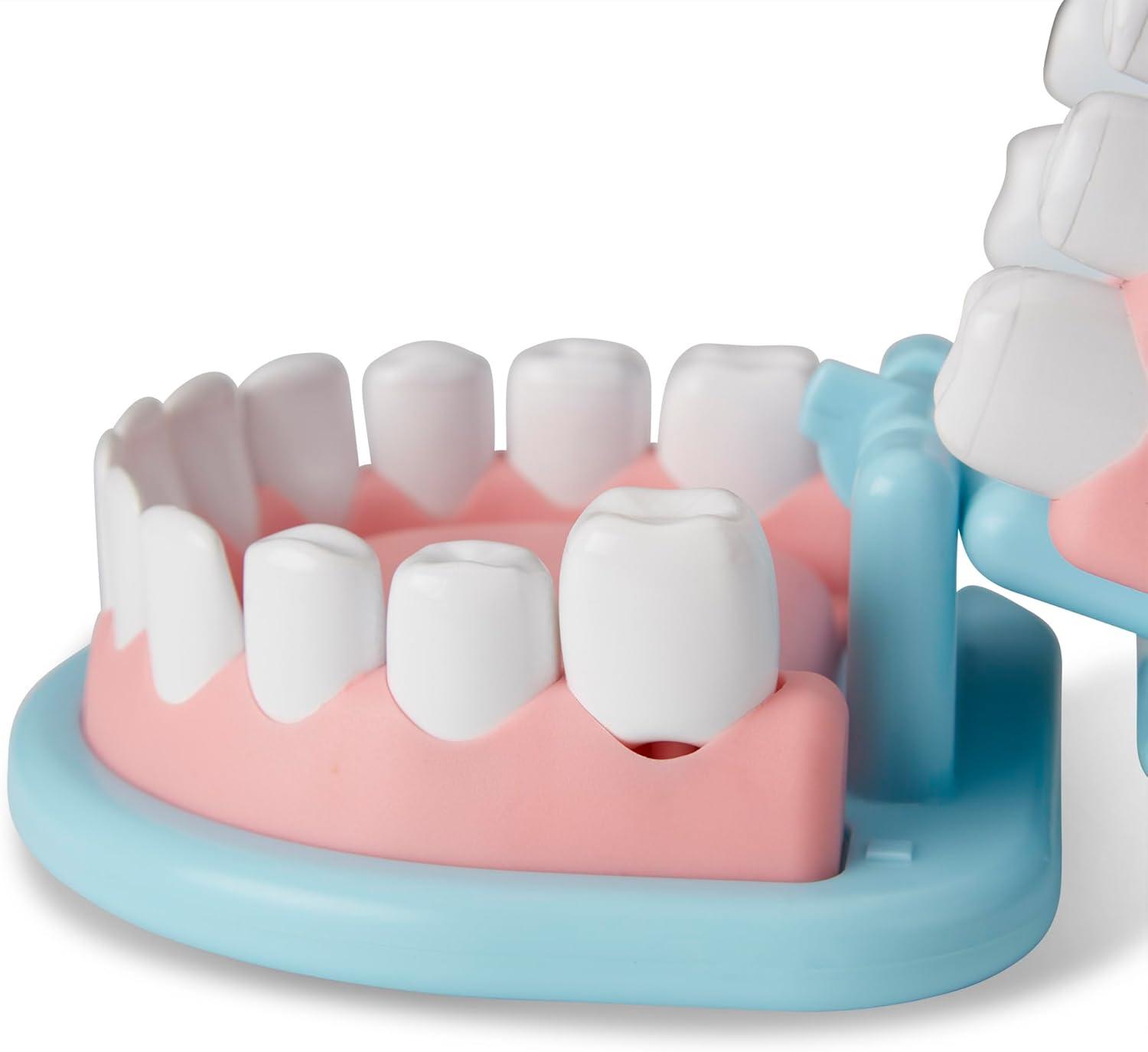 imageMelissa ampamp Doug Super Smile Dentist Play Set 25Piece Dentist Kit with Oversized Teeth Large Tools ampamp Accessories Kids Toys for Girls ampamp Boys 3