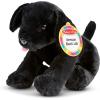 imageMelissa ampamp Doug Benson Black Lab  Stuffed Animal Puppy Dog