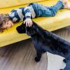 imageMelissa ampamp Doug Giant Black Lab  Lifelike Stuffed Animal Dog over 2 feet tallStuffed Animal Dog