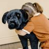 imageMelissa ampamp Doug Giant Black Lab  Lifelike Stuffed Animal Dog over 2 feet tallStuffed Animal Dog