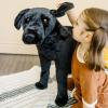 imageMelissa ampamp Doug Giant Black Lab  Lifelike Stuffed Animal Dog over 2 feet tallStuffed Animal Dog