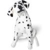 imageMelissa ampamp Doug Giant Dalmatian  Lifelike Stuffed Animal Dog Over 2 feet Tall