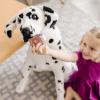 imageMelissa ampamp Doug Giant Dalmatian  Lifelike Stuffed Animal Dog Over 2 feet Tall