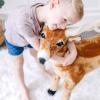imageMelissa ampamp Doug Giant Deer  Lifelike Stuffed Animal Over 3 feet Long
