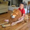 imageMelissa ampamp Doug Giant Lion  Lifelike Stuffed Animal Over 6 feet LongClassic