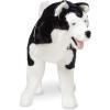 imageMelissa ampamp Doug Giant Siberian Husky  Lifelike Stuffed Animal Dog Over 2 feet Tall