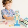 imageMelissa ampamp Doug Magnetic Human Body Anatomy Play Set with 24 Magnetic Pieces and Storage Tray