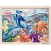 Under the Sea Ocean Animals